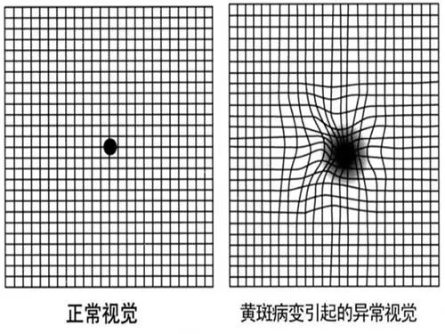微信图片_20220129093519.jpg 微信图片_20220129093519.jpg