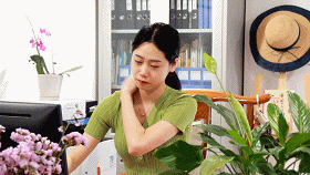 6373794354371639063677825.gif