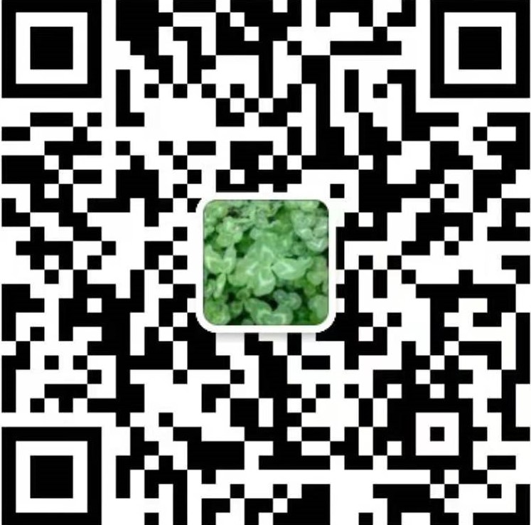 4019985356862526841.jpg