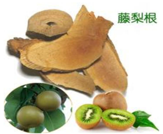 微信图片_20210924103357.png