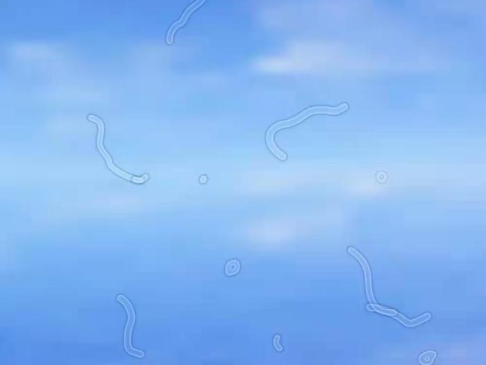 微信图片_20220221085422.png