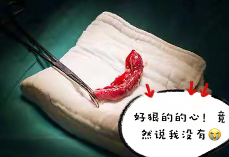 微信图片_20220628122641.png 微信图片_20220628122641.png