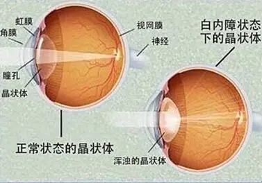 微信图片_20211203111620.jpg 微信图片_20211203111620.jpg