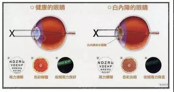 微信图片_20211203111743.jpg 微信图片_20211203111743.jpg