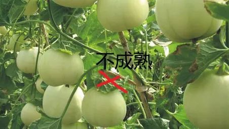 微信图片_20210608141930.jpg 微信图片_20210608141930.jpg