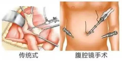 微信图片_20220429142124.jpg 微信图片_20220429142124.jpg
