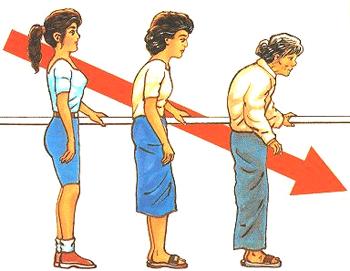 图232片1.jpg 图232片1.jpg