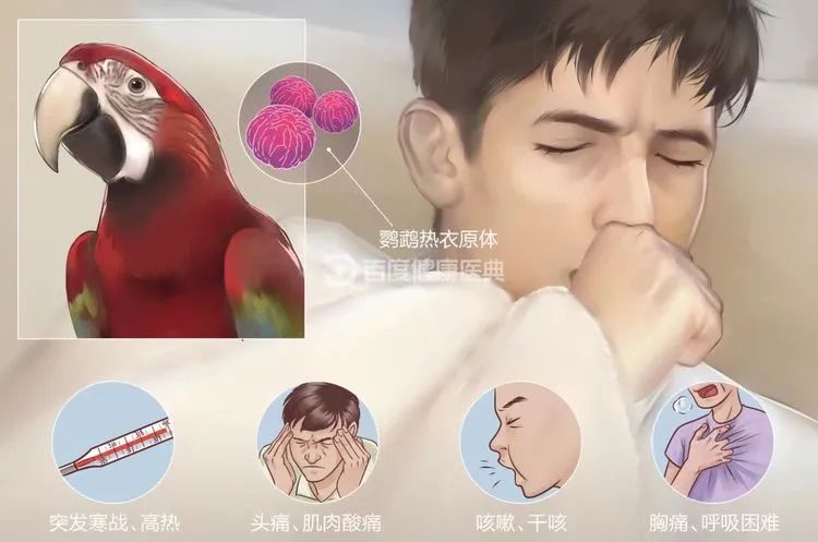 微信图片_20220117100328.jpg 微信图片_20220117100328.jpg
