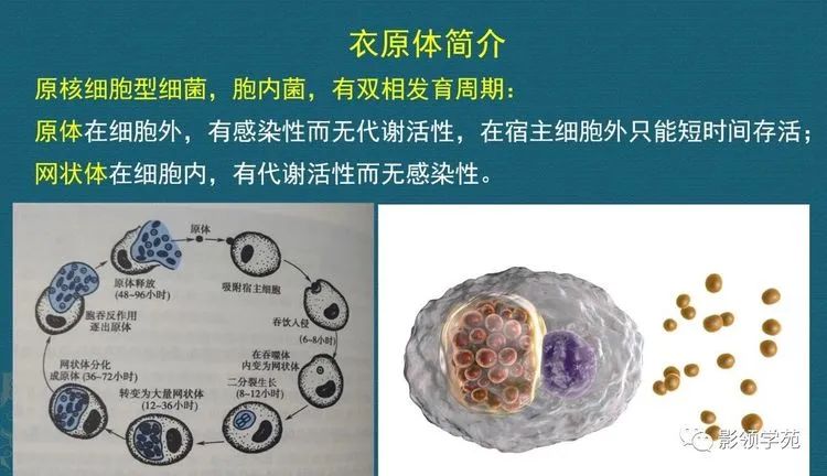 微信图片_20220117100756.jpg