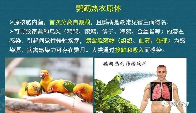 微信图片_20220117101011.jpg