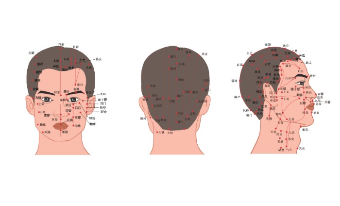 摄图网_401802088_人体头部经络穴位图（非企业商用）.jpg